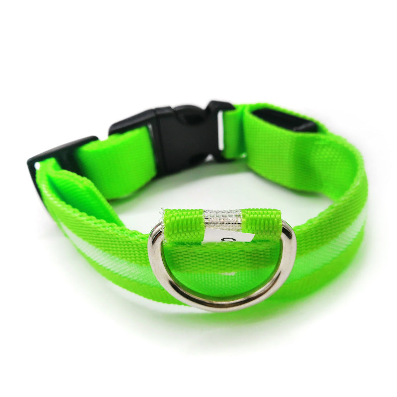 LED light-up collar