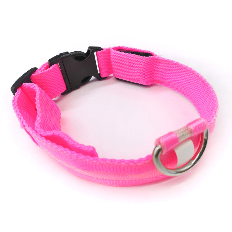 LED light-up collar