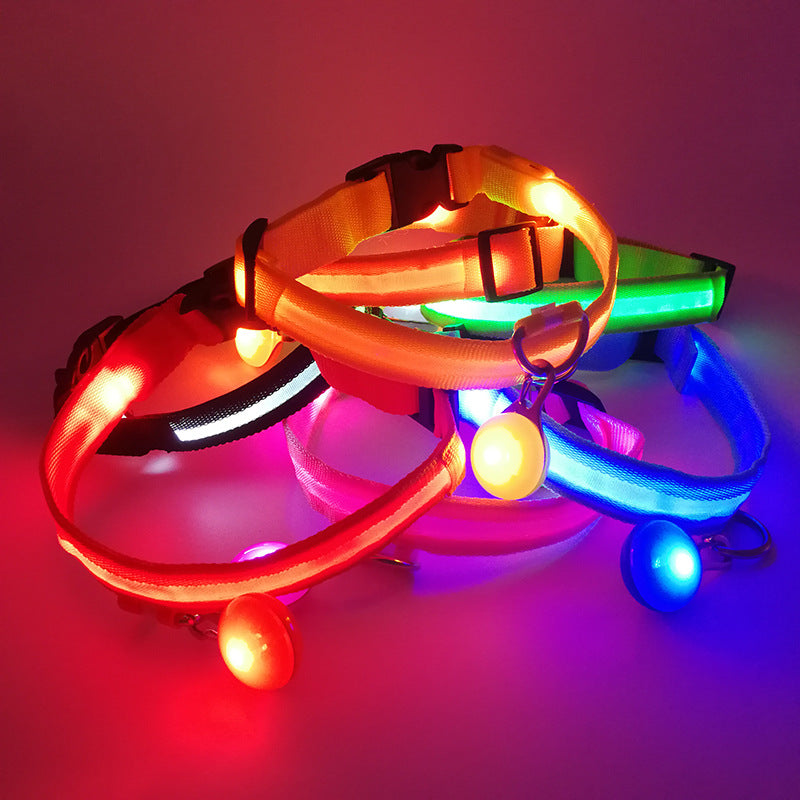 LED light-up collar