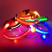LED light-up collar