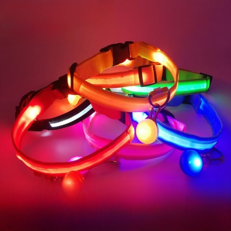 LED light-up collar